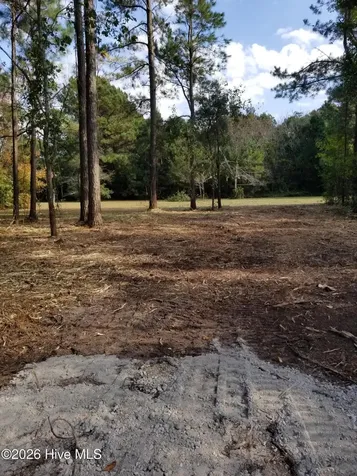 0 Joans Haven Drive Newport NC 28570