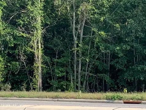 Tbd Us Highway 1 Rockingham NC 28379
