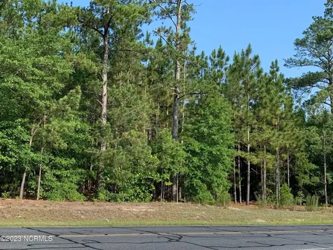 Tbd Us Highway 1 Rockingham NC 28379