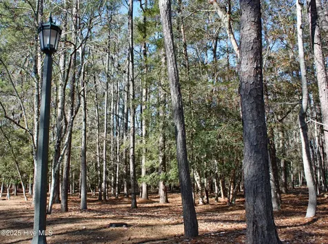 3508 Fairway Crest Drive SW Shallotte NC 28470