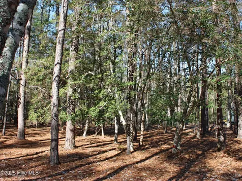 3508 Fairway Crest Drive SW Shallotte NC 28470