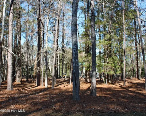 3508 Fairway Crest Drive SW Shallotte NC 28470