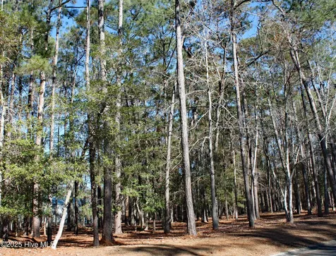 3508 Fairway Crest Drive SW Shallotte NC 28470