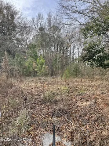 0 W Albertson Bldg Street Winfall NC 27985