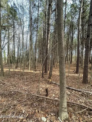 0 W Albertson Bldg Street Winfall NC 27985