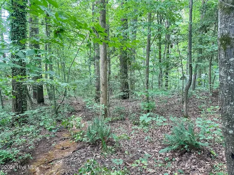 Tbd South Point Sanford NC 27332