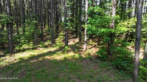 00 Cooper Branch Road Clayton NC 27520