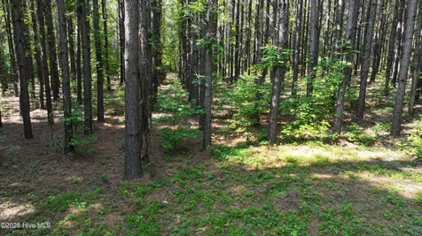 00 Cooper Branch Road Clayton NC 27520