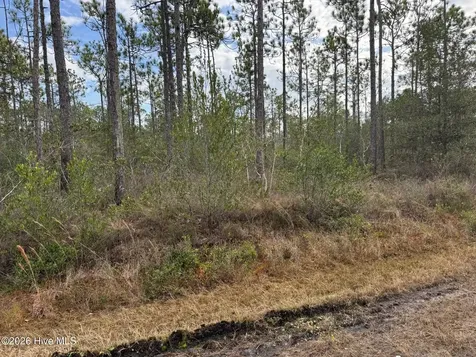 Lot 22 Pepperhill Road Southport NC 28461