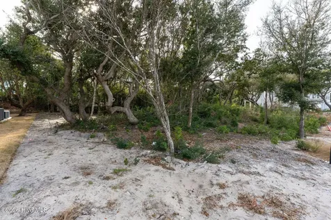 70 Peregrine Court Surf City NC 28445
