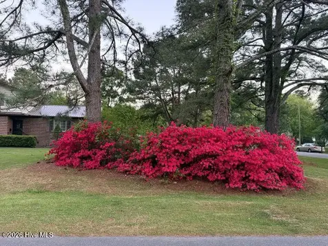 604 Eleanor Street Greenville NC 27858