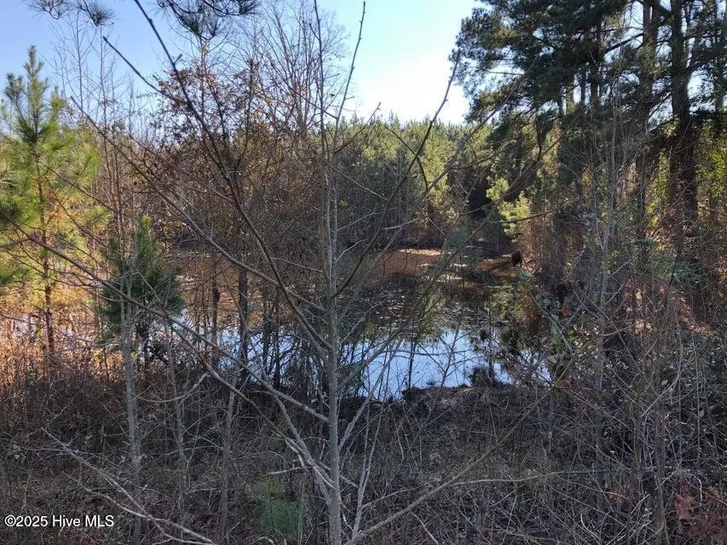 316 Old Cheraw Highway Rockingham NC 28379