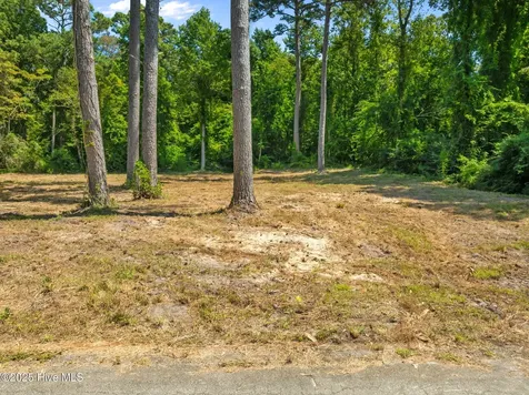 124 Jupiter Trail Jacksonville NC 28546