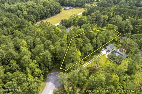 178 Marsh Run Oriental NC 28571