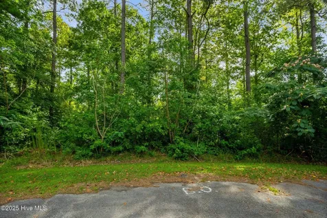 178 Marsh Run Oriental NC 28571