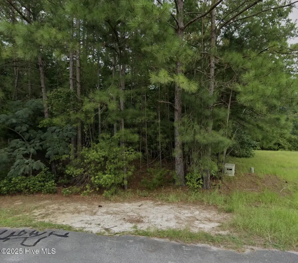 325 Farina Drive Havelock NC 28532