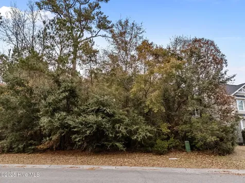 603 Belhaven Drive Wilmington NC 28411
