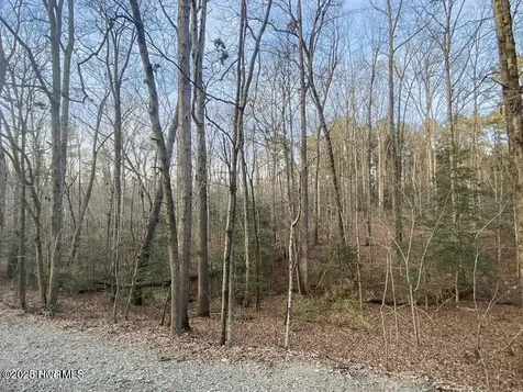 23 Equestrian Lane Carthage NC 28327