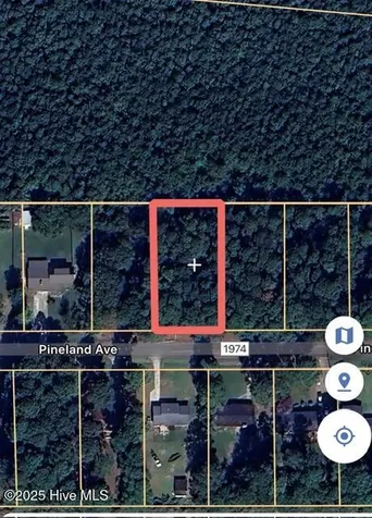 0 Pineland Avenue Mount Olive NC 28365