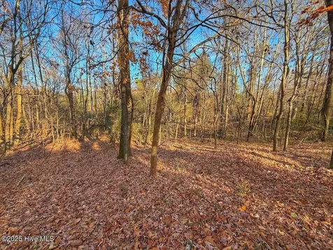 0 Mabry Mill Road Henderson NC 27537
