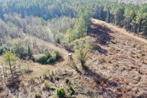 Tbd Moon Johnson Road Roseboro NC 28382