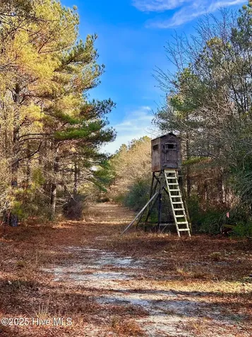 Tbd Moon Johnson Road Roseboro NC 28382