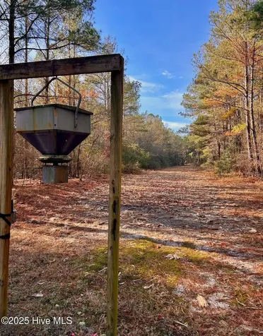 Tbd Moon Johnson Road Roseboro NC 28382