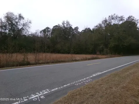 Lot 1 Ivanhoe Road Harrells NC 28444