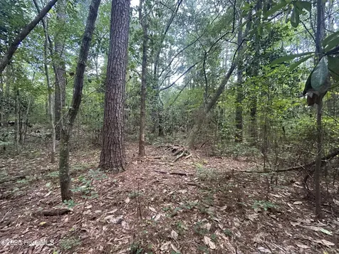 2461 Rockhill Road Castle Hayne NC 28429