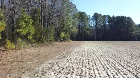8501 Edwards Road Castalia NC 27816