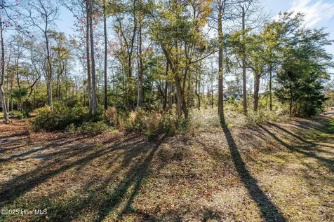 1872 Healing Water Lane SW Supply NC 28462