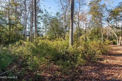 1872 Healing Water Lane SW Supply NC 28462
