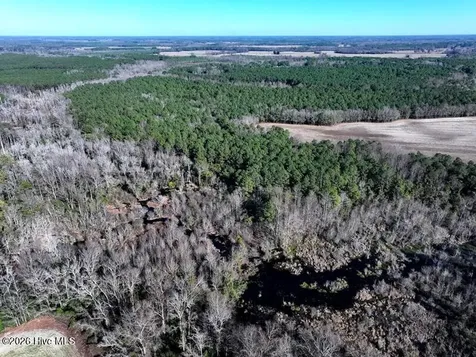 Tbd Stuarts Mill Road Fairmont NC 28340