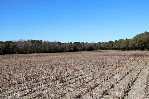 Tbd Stuarts Mill Road Fairmont NC 28340