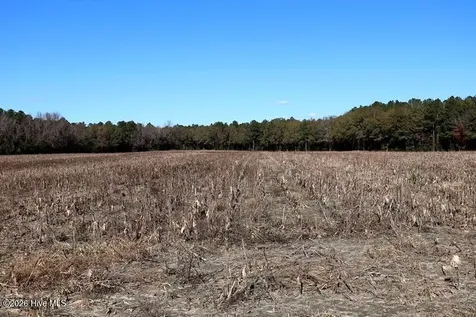 Tbd Stuarts Mill Road Fairmont NC 28340