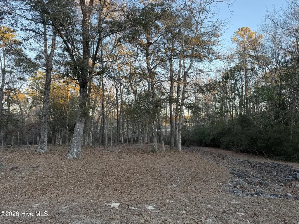 1764 Oyster Harbour Parkway SW Supply NC 28462