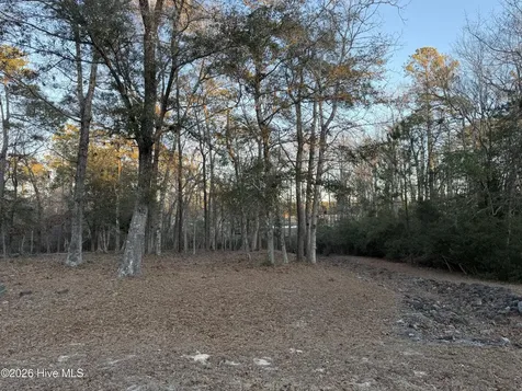1764 Oyster Harbour Parkway SW Supply NC 28462