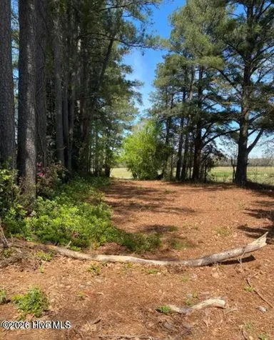 4803 Andrew Jackson Highway SW Chadbourn NC 28431