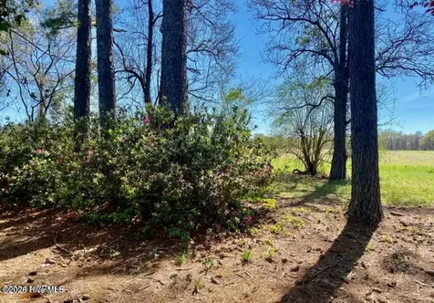 4803 Andrew Jackson Highway SW Chadbourn NC 28431