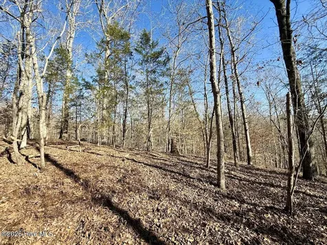 666 Solomon Road Prospect Hill NC 27314