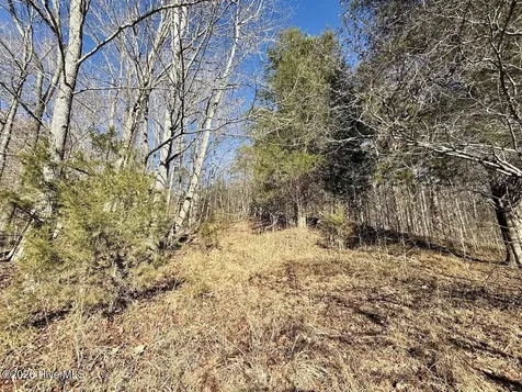 666 Solomon Road Prospect Hill NC 27314