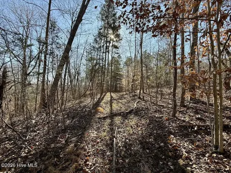 666 Solomon Road Prospect Hill NC 27314
