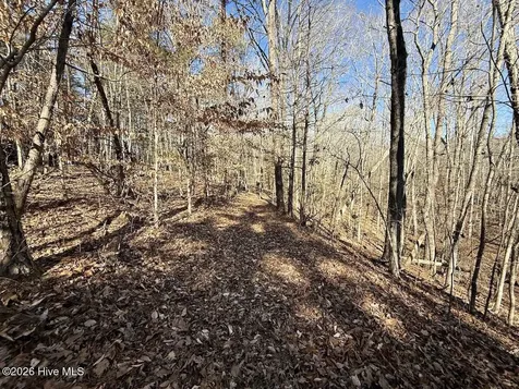 666 Solomon Road Prospect Hill NC 27314