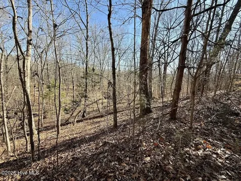 666 Solomon Road Prospect Hill NC 27314