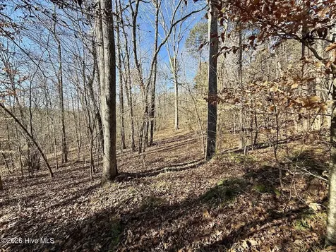 666 Solomon Road Prospect Hill NC 27314