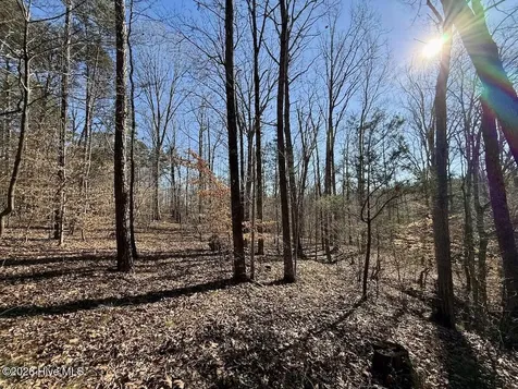 666 Solomon Road Prospect Hill NC 27314
