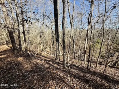 666 Solomon Road Prospect Hill NC 27314