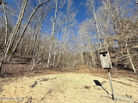 666 Solomon Road Prospect Hill NC 27314