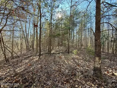 666 Solomon Road Prospect Hill NC 27314