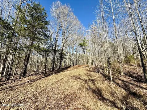 666 Solomon Road Prospect Hill NC 27314